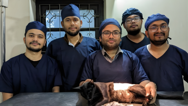 Bangladesh veterinarians role in public health