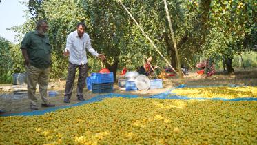 Edited-Shykh Seraj Copy.jpg