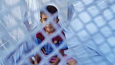 Dengue daily update.jpg