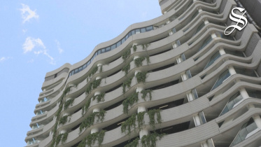 multimedia special.jpg