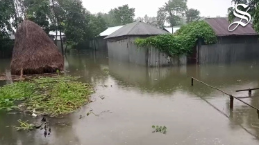 multimedia-flood.jpg