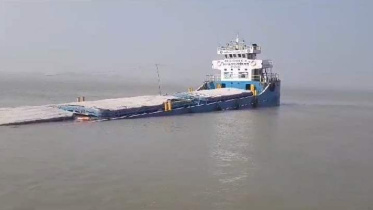 Ship carrying fly ash sinks near Sundarbans 