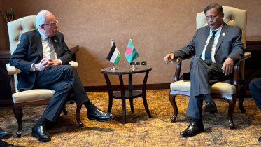 Hasan-Riyad al-Maliki