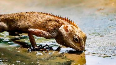 natures quest_469d.jpg