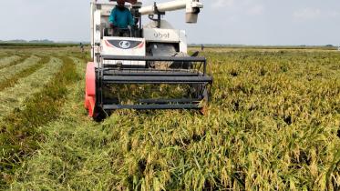 Harvest Start Netrokona 12.004.2025_dc06.jpg