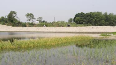 kaliganga.jpg