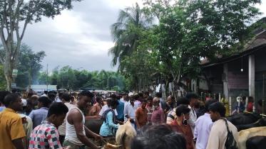 CNG-driver-killed.jpg