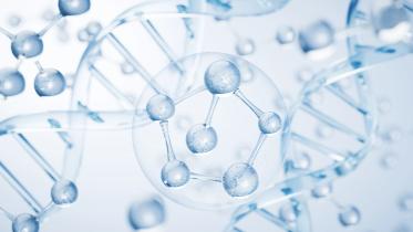 LM for 15 june 2025.jpg