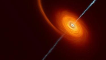 2 Top Did you know.jpg