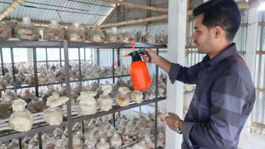 Akhaura mushroom_c4fd.jpg