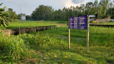 Encroachment pushes Sati River to the brink of extinction_9c57.jpg