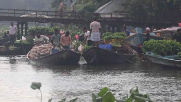Vegetable business _63f0.jpg
