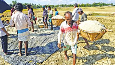 OP 2 - Salt sector challenges for the next policy to address.jpg