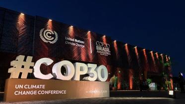 ED 2 - COP30 Gender Action Plan A victory without power.jpg