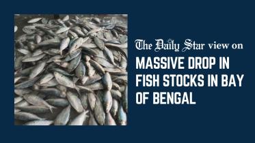 Editorial 2 - A marine crisis we can no longer ignore_1.jpg