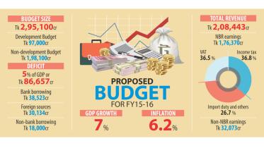 budget infograph.jpg