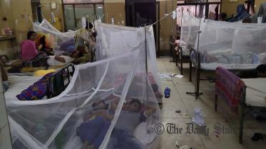 Present Dengue situation in Bangladesh