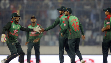tigers_celebrate_a_wicket.jpg