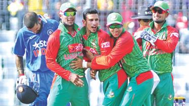 PICTURE PERFECT TIGERS