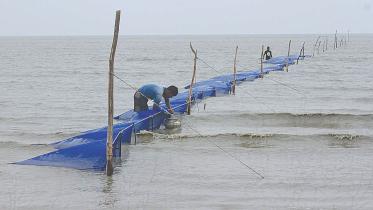 Bangladesh 47th in world illegal fishing index
