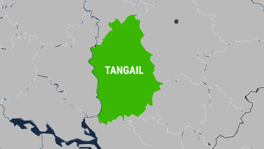 tangail.jpg