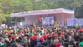 BNP rally.jpg