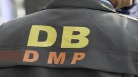 DB-detecttive-branch.jpg