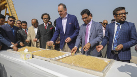 Import wheat from USA (12).jpg