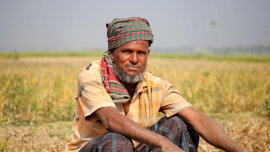 Farmer in Chapainawabganj.png