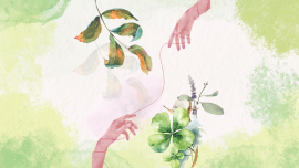 Illustrations 8 (14).png