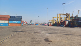 WhatsApp Image 2026-02-03 at 10.55.24 AM.jpeg