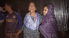 Daulatdia ferry ghat bus accident Padma river Bangladesh