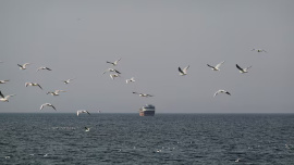 Bangladesh garment export logistics crisis 2026