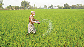 Rajshahi-Farmer.jpg