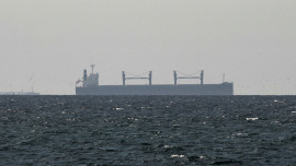 Cargo ships in the Gulf, near the Strait of Hormuz, as seen from northern Ras al-Khaimah, near the border with Oman’s Musandam governance, amid the U.S.-Israeli conflict with Iran, in United Arab Emirates, March 11, 2026. Photo: Reuters