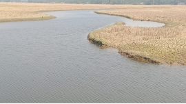 Photo: Sohrab Hossain