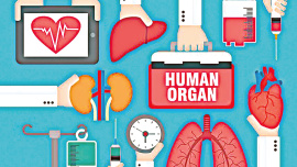 organ-donation.jpg