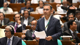 tarique_parliament.jpg