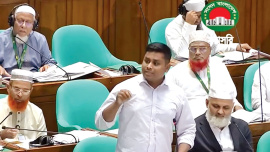 Hasnat Abdullah parliament speech