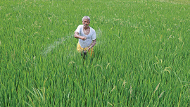 India-fertiliser.jpg