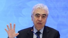 International Energy Agency (IEA) Executive Director Fatih Birol.jpg