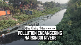 Pollution_endangering-Editorial-2.jpg