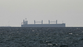 Ships in Gulf waters.jpg