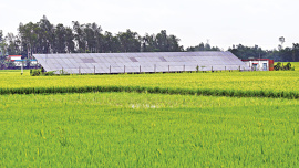 Solar-powered-pumps.jpg
