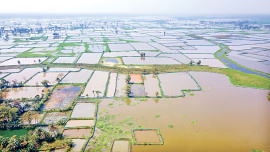 Waterlogging.jpg