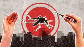 Dengue_TDS_Visual.png