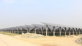 The 100-MW solar park at Char Bhabanipur in Pabna Sadar upazila, was developed by Dynamic Sun Energy Private Limited. Photo: Star