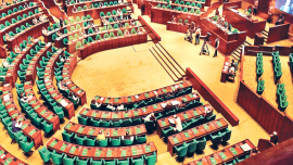 Parliament visual.png