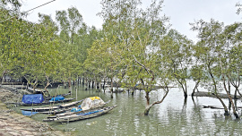 Photo_1.jpg