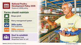 Poultry-sector.jpg